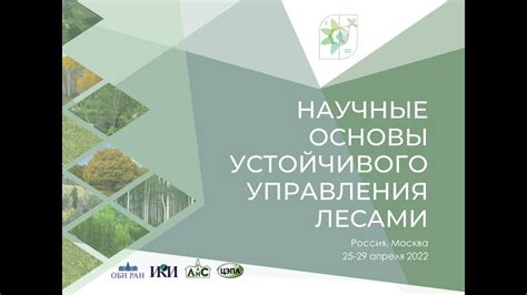 критерии и индикаторы устойчивого управления лесами российской федерации